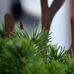 Genusshotel Hirschen - Erholung Im Grünen Sallneck