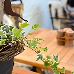 Genusshotel Hirschen - Erholung Im Grünen