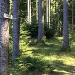 Genusshotel Hirschen - Erholung Im Grünen Hotel 3*