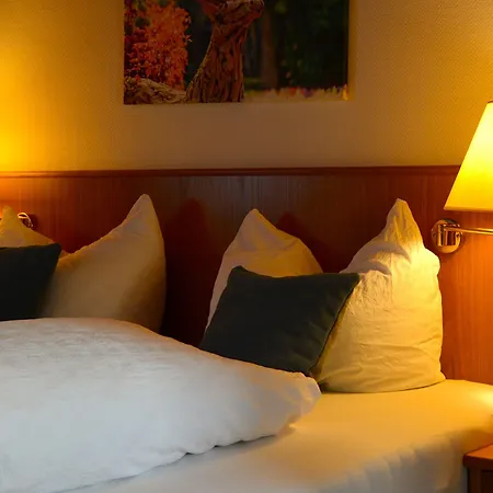 Genusshotel Hirschen - Erholung Im Gruenen 3* Sallneck