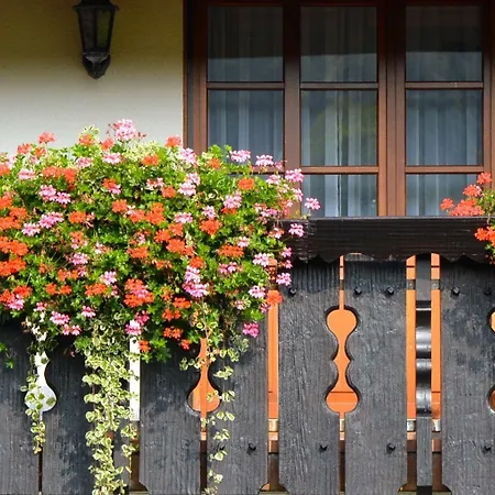 فندق Genusshotel Hirschen - Erholung Im Gruenen 3*