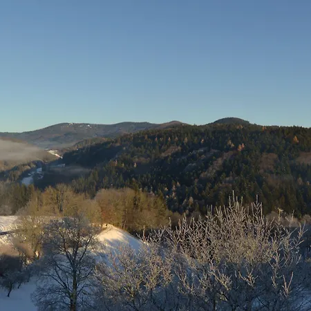 Genusshotel Hirschen - Erholung Im Gruenen Sallneck