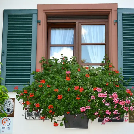 Genusshotel Hirschen - Erholung Im Gruenen فندق Sallneck