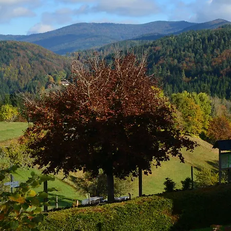 Genusshotel Hirschen - Erholung Im Gruenen Sallneck