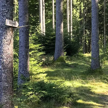 Genusshotel Hirschen - Erholung Im Gruenen فندق 3*