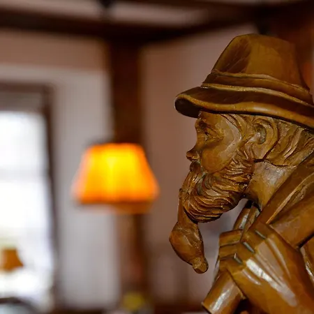 Genusshotel Hirschen - Erholung Im Gruenen 3* Sallneck
