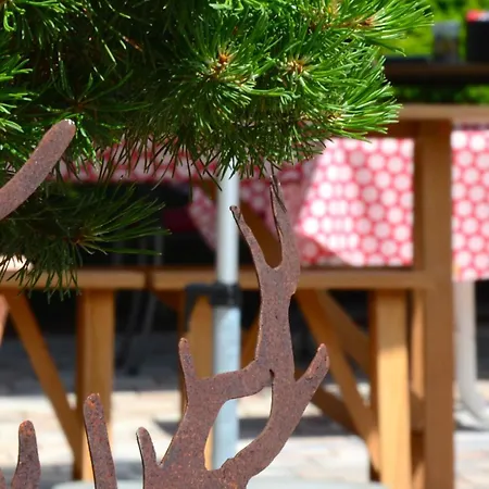 Genusshotel Hirschen - Erholung Im Gruenen فندق