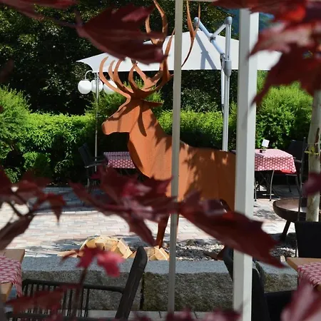 Genusshotel Hirschen - Erholung Im Gruenen 3* Sallneck