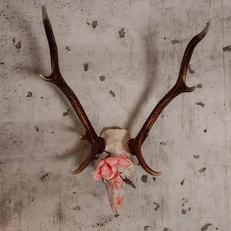 Genusshotel Hirschen - Erholung Im Gruenen 3* Sallneck