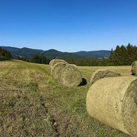 Genusshotel Hirschen - Erholung Im Gruenen