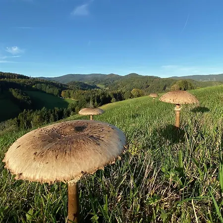 فندق Genusshotel Hirschen - Erholung Im Gruenen 3*