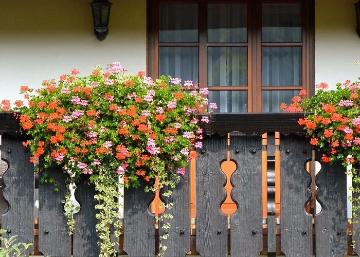 Hotell Genusshotel Hirschen - Erholung Im Gruenen 3*