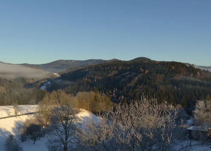 Genusshotel Hirschen - Erholung Im Gruenen Sallneck
