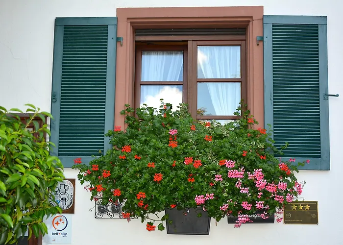 Genusshotel Hirschen - Erholung Im Gruenen Hotell Sallneck