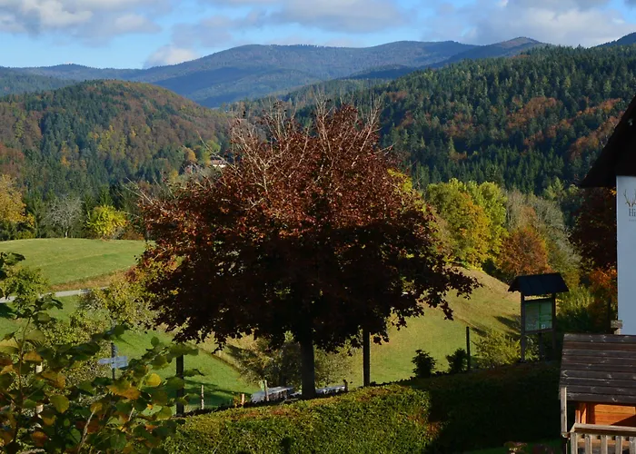Genusshotel Hirschen - Erholung Im Gruenen Sallneck