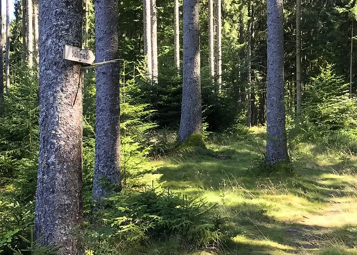 Genusshotel Hirschen - Erholung Im Gruenen Hotell 3*