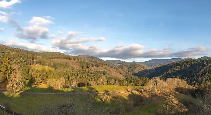 Genusshotel Hirschen - Erholung Im Gruenen Hotell 3*
