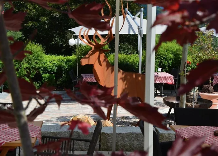 Genusshotel Hirschen - Erholung Im Gruenen 3* Sallneck