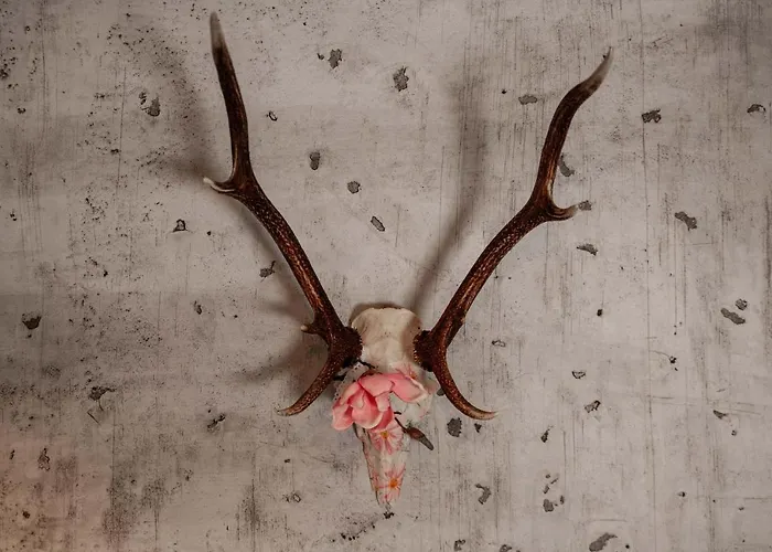 Genusshotel Hirschen - Erholung Im Gruenen 3* Sallneck