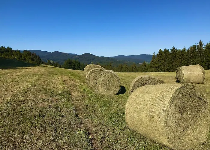 Genusshotel Hirschen - Erholung Im Gruenen
