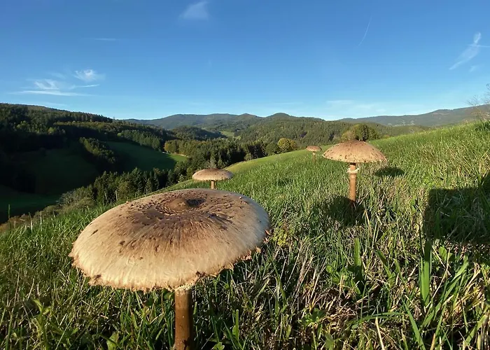 Hotell Genusshotel Hirschen - Erholung Im Gruenen 3*